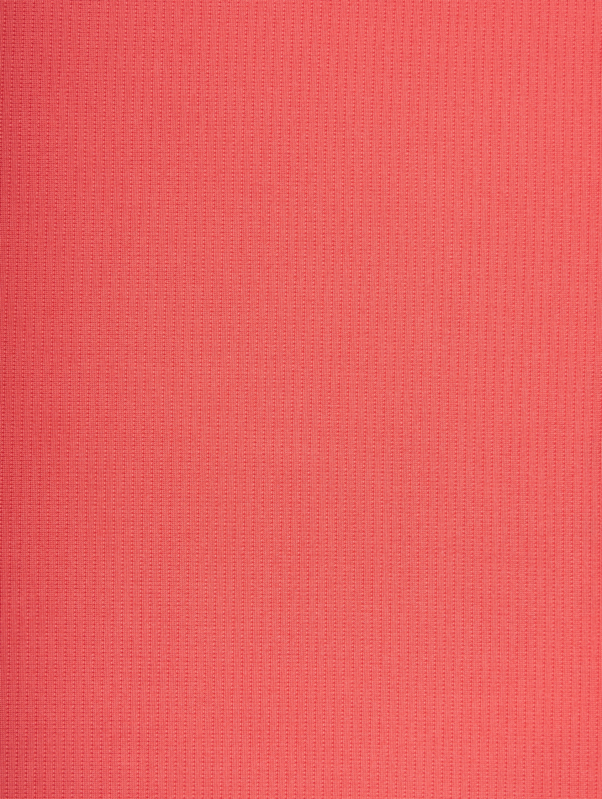 Rh-01504 Sumac