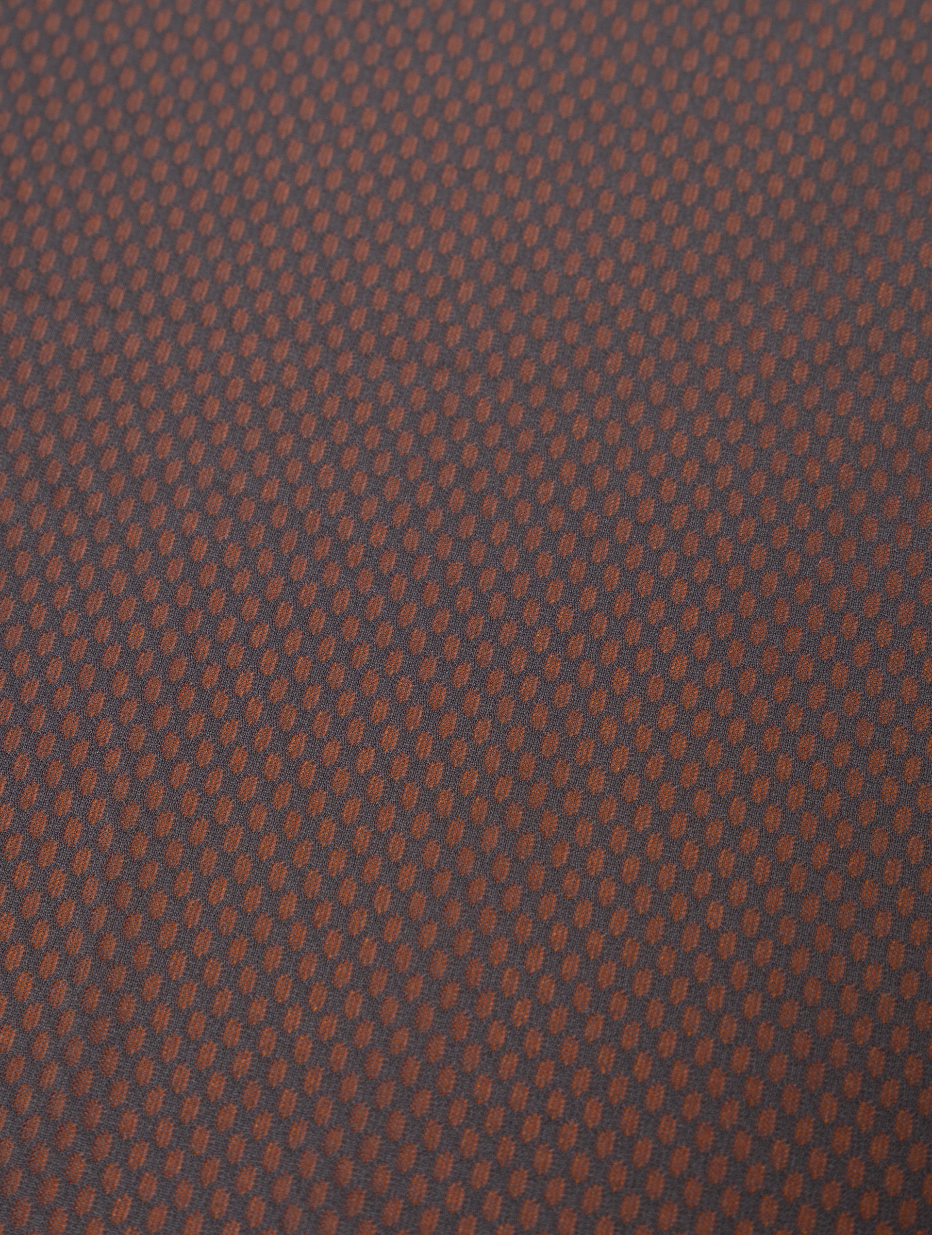 Rh-01285 Tangelo/Artemis