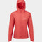 Rh-01504 Sumac