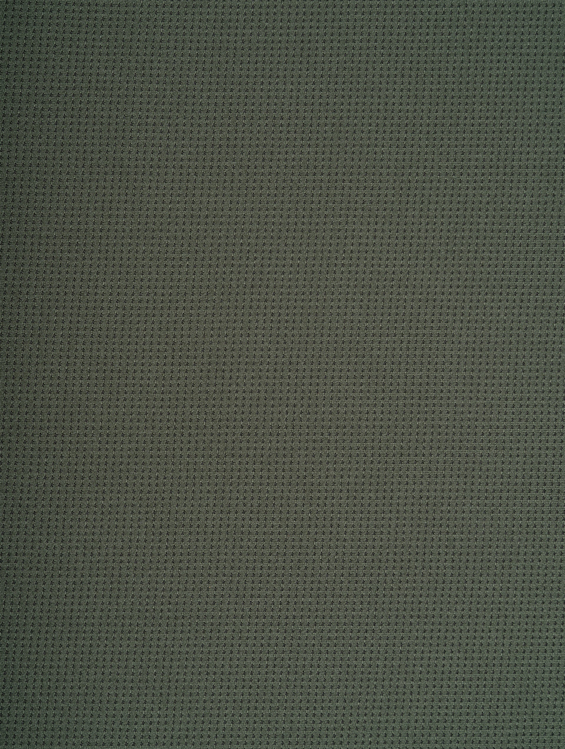 Rh-01478 Kelp/Zest